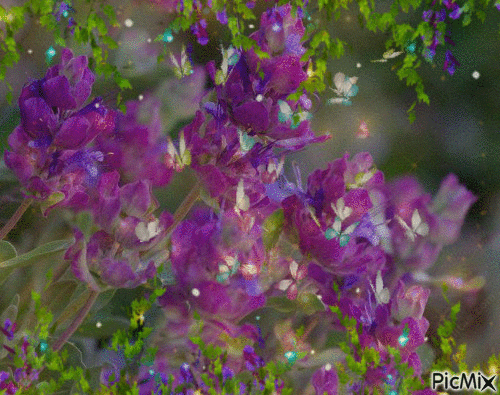 A Young Man’s Fantasy,🔆🔆