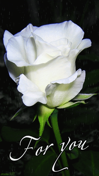 Flowers In Love ❤️