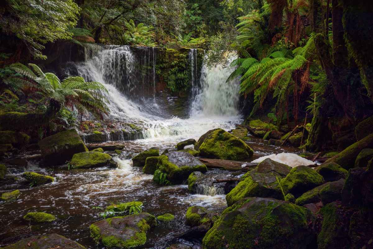 (TASMANIA) JUST IN: Police have said the man was climbing Mt Geryon, 150 kilometres north-west of Hobart, with three other people, when he “fell from a significant height” about 9:30am. Friday morning #AceNewsDesk report