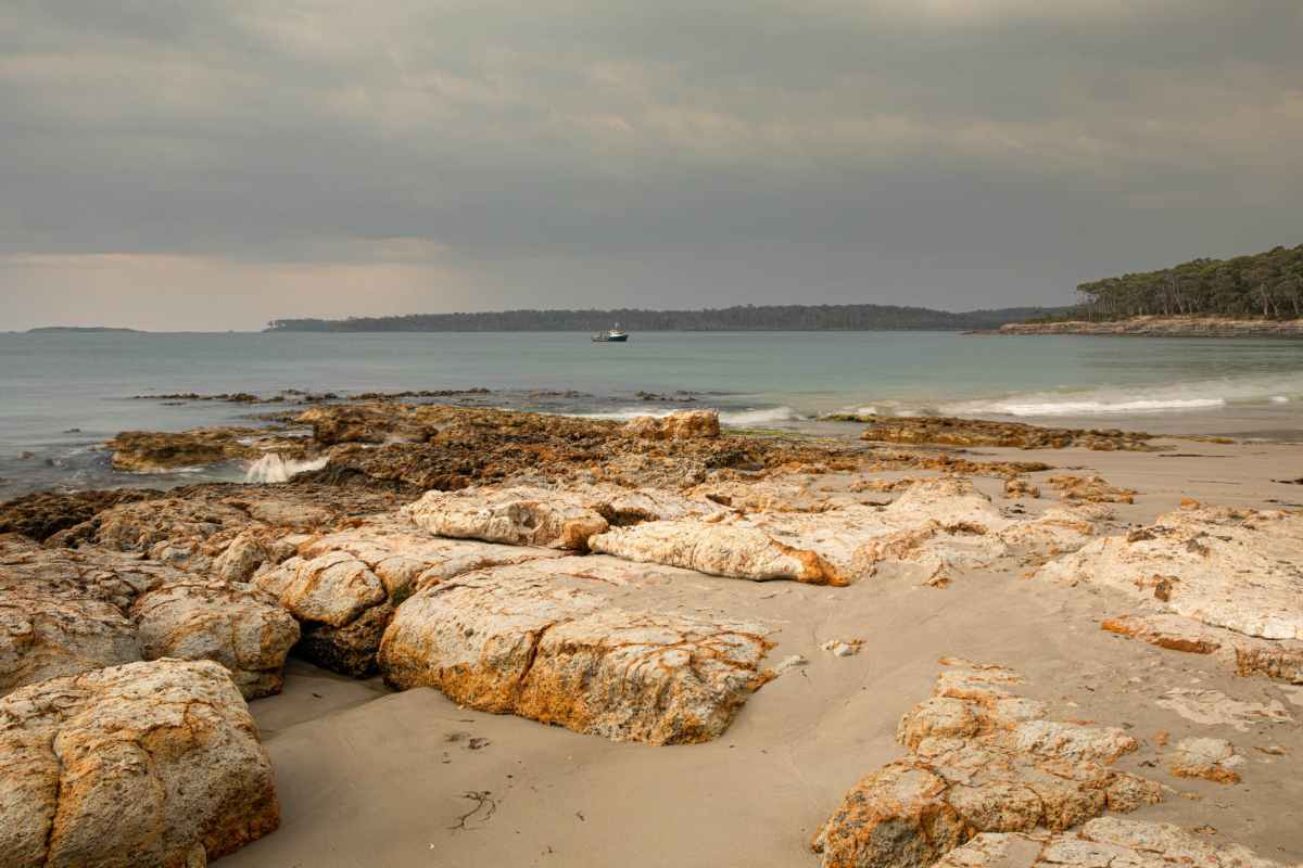 (TASMANIA) JUST IN: TAS Police High-Risk Child Exploitation Unit Report: Arrested a 24-year-old Longford man and charged him with one count of possessing child exploitation material #AceNewsDesk report