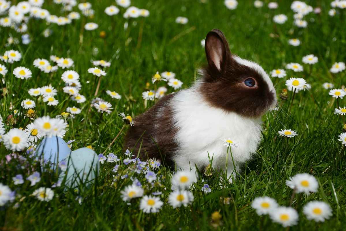 (FEATURED: Australian Floral Report We know there are some 12,500 flowering species in WA, 60 per cent of which are endemic to the state – and 775,000 visitors each year flock to take a gander at these blooms #AceNewsDesk report