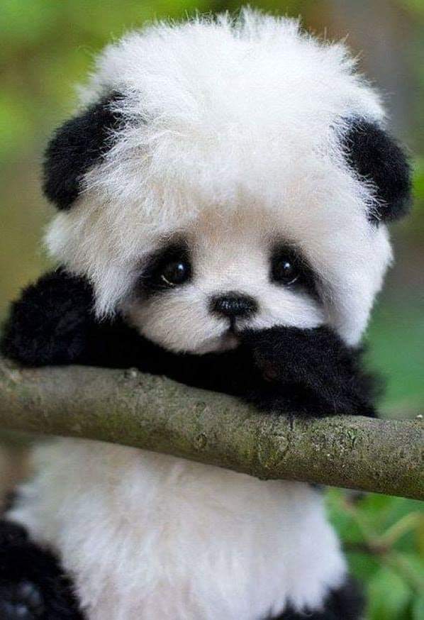 Are you stuck ~