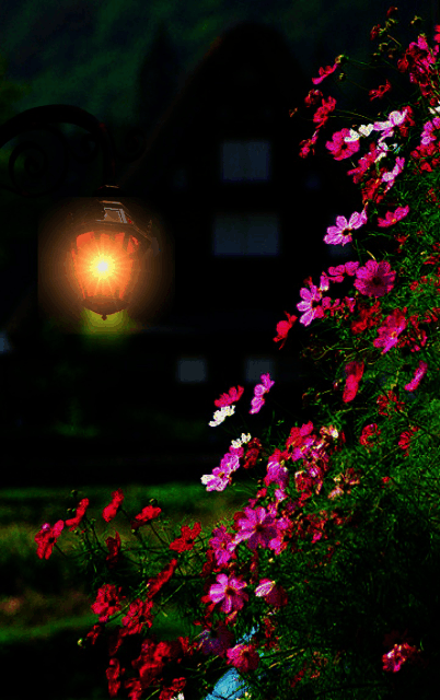 Thought of the Day ~