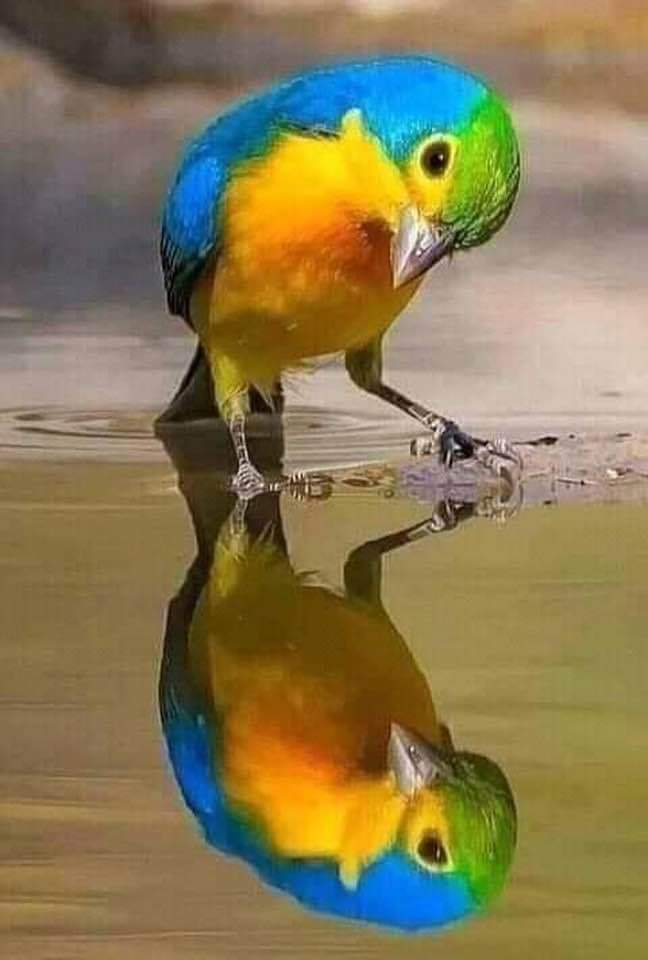 You forge your reality with your unconditional loving intentions with possible opportunities and experiences! Share this with someone you love and be blessed!