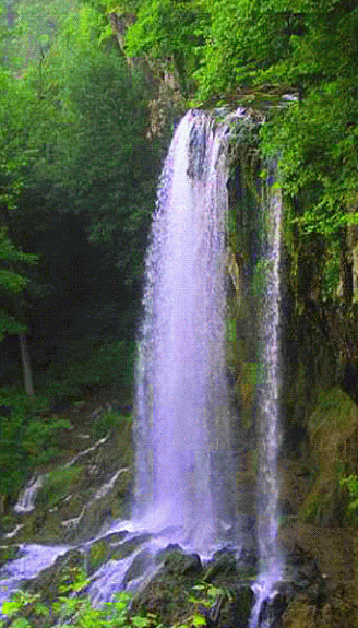 ..If one endureIn purity of thought, joy follows himAs his own shadow—sure.”