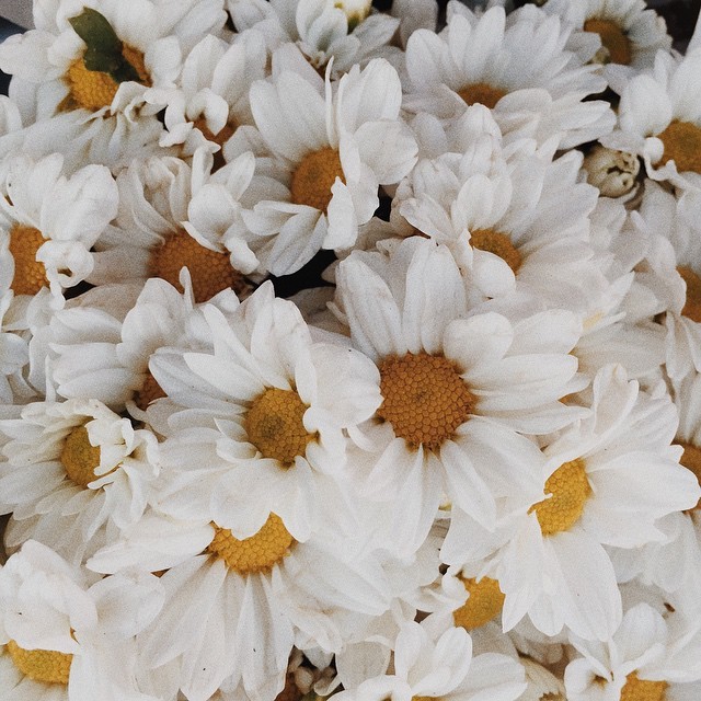 Safe, warm and comfortable  – there is only now