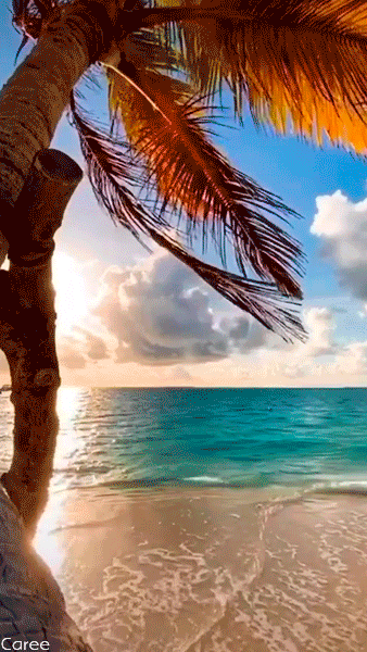 (AUSTRALIA) JUST IN: Victoria Police Report: Serial conman Peter Foster has been arrested, six months after he failed to appear in a Sydney court over an alleged Bitcoin fraud #AceNewsDesk report