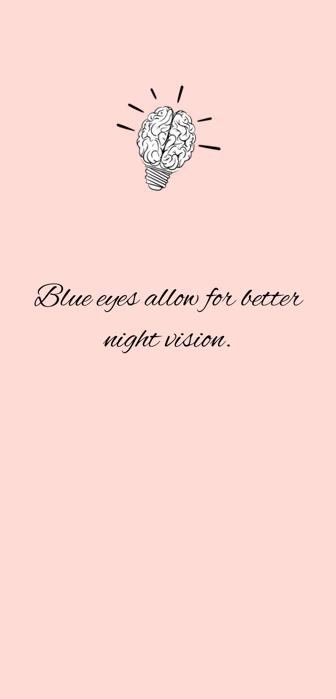 Cattalina Font