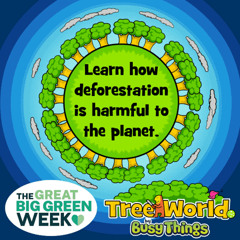 WORLDWIDE: Palm Detectives: These Are The Forgotten Animals Of Deforestation