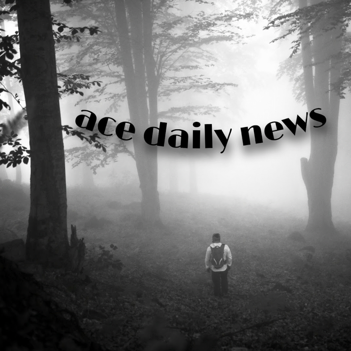 BREAKING: ISWAP Leader, Sani Shuwaram Killed By Nigerian Military Airstrike