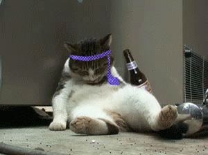 Reason not to drink