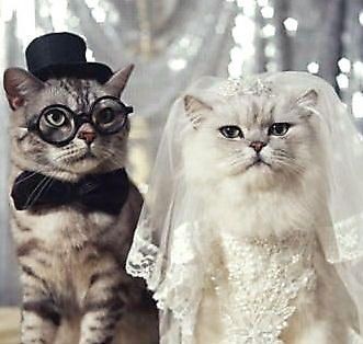 OUR WEDDING DAY 💥