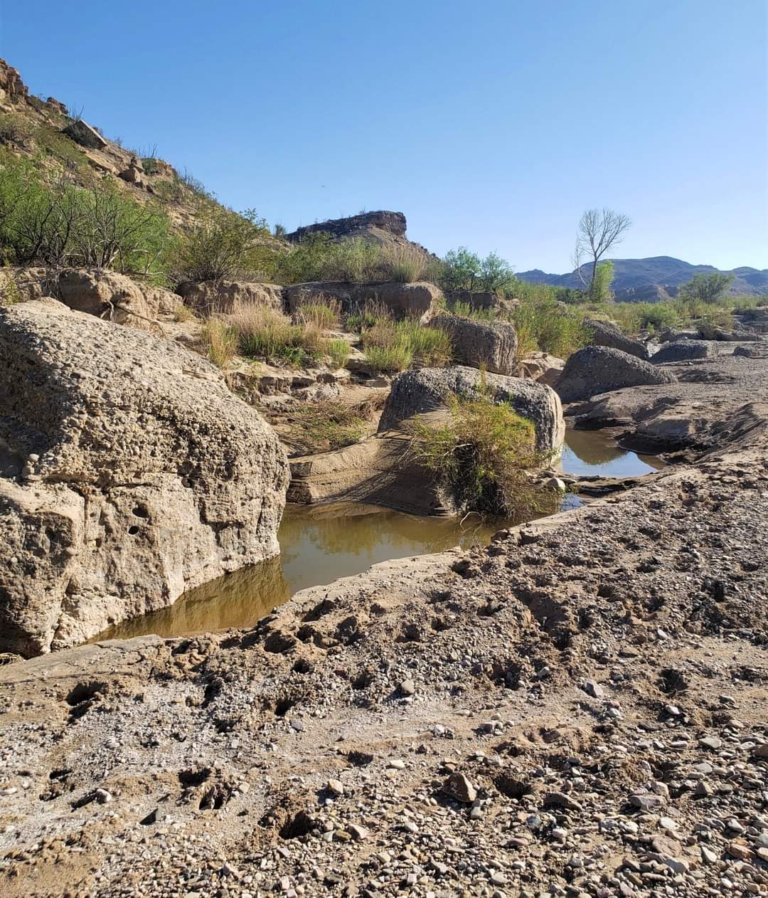 SOMEWHERE IN THE LOWER BIG BEND: