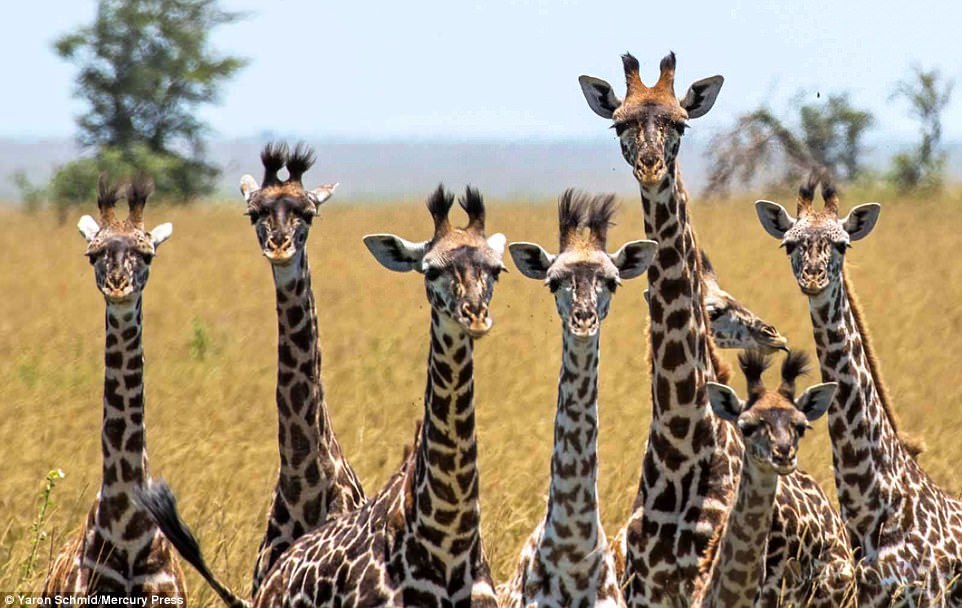 What I learnt from Love ~ & Monday afternoon 🔅06/12/2017