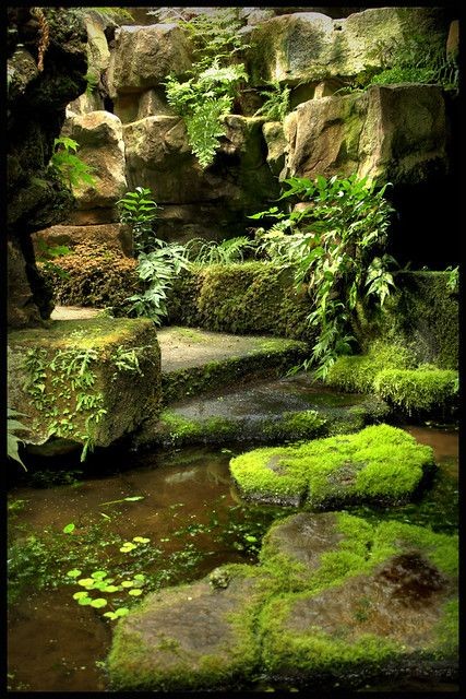 Attitude to Inspiration ~