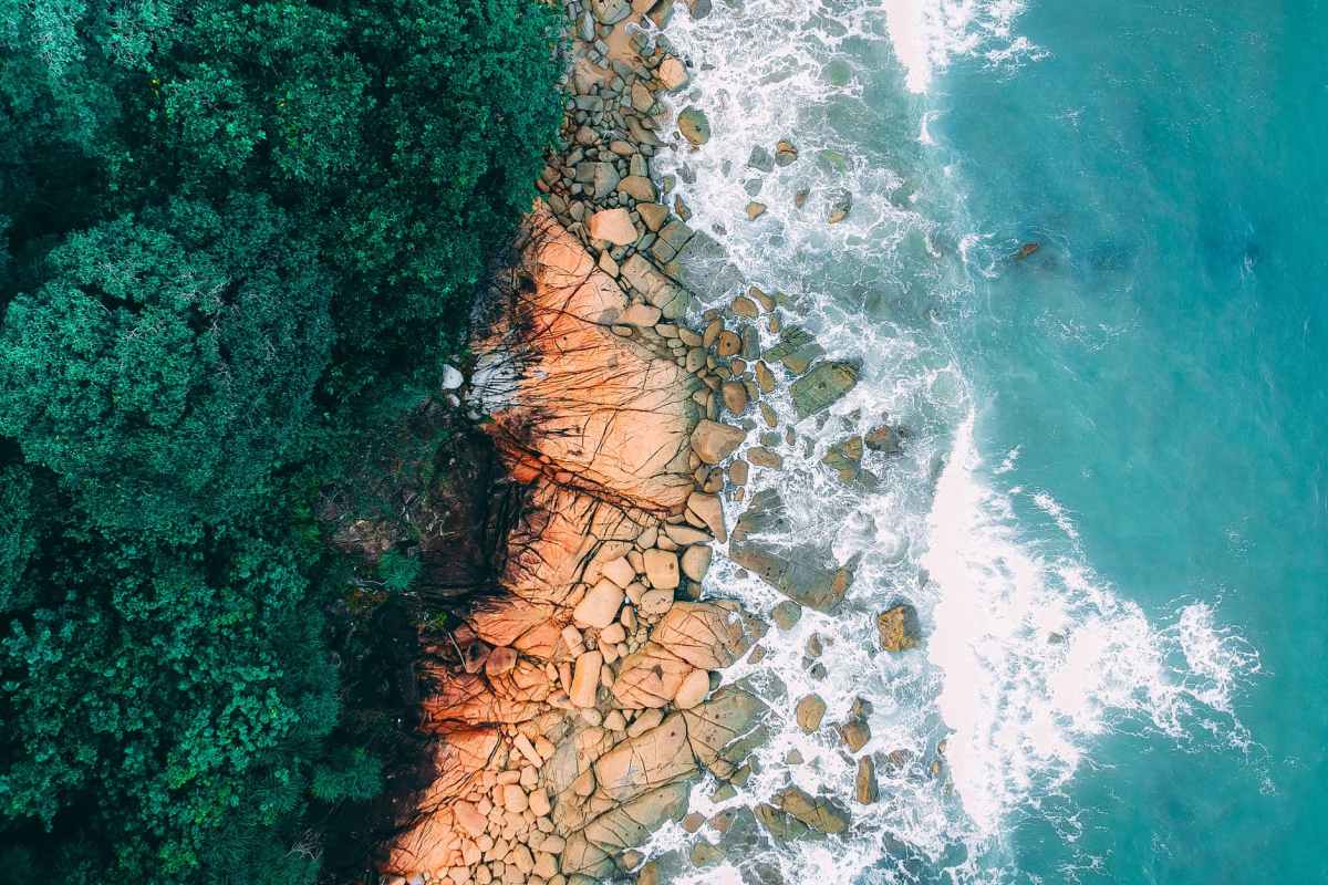 Who loves the ocean ~