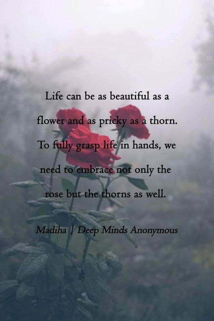Todays Thought