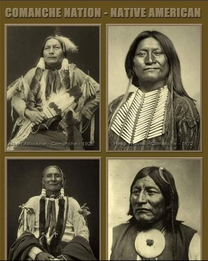 Poetry America history