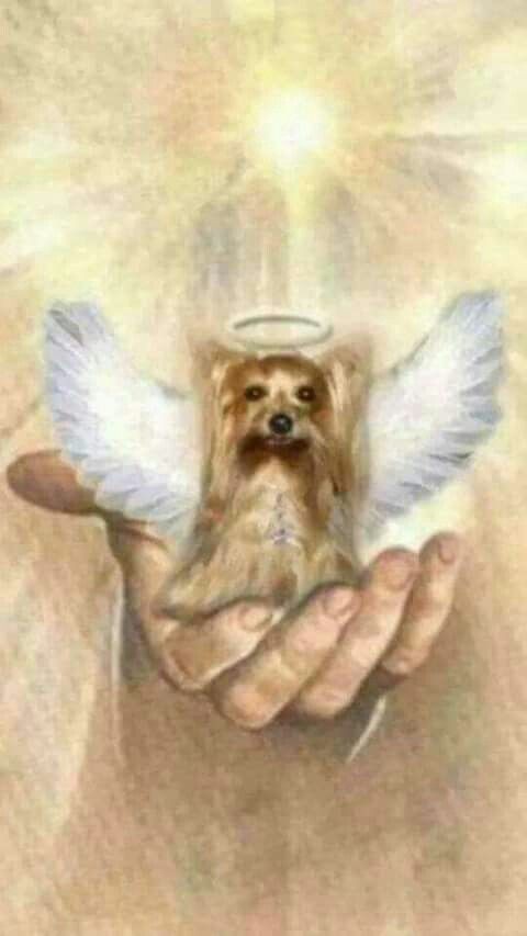 True Happening ⚜️🙏⚜️