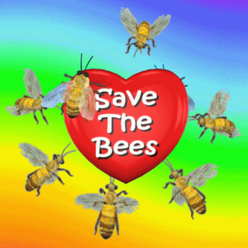 FEATURED STORY REPORT: Honeybees and America in Trouble With Pesticides