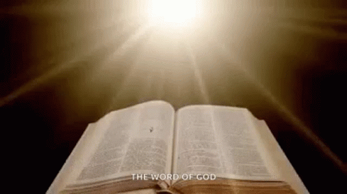 Jesus 🙏 🙏  Mercy ✨️