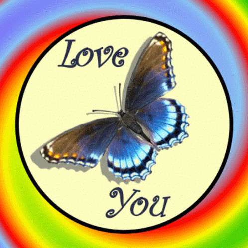 Butterfly 🦋 from God