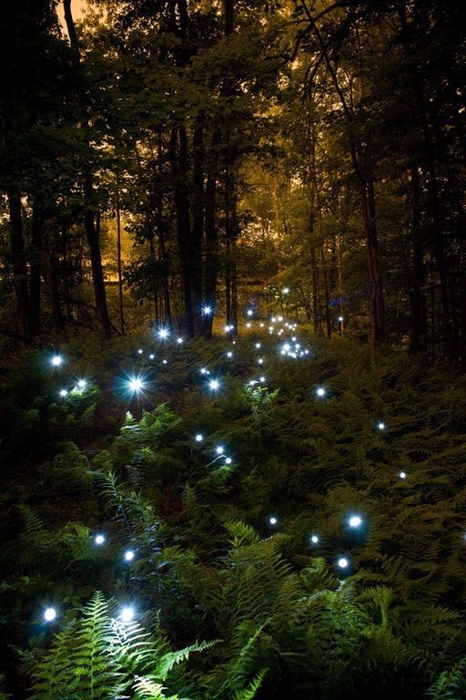 Fairy-Tale