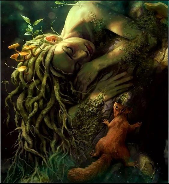 Scientists Uncover the Ancient Origins of Baobab Trees in Genetic Study