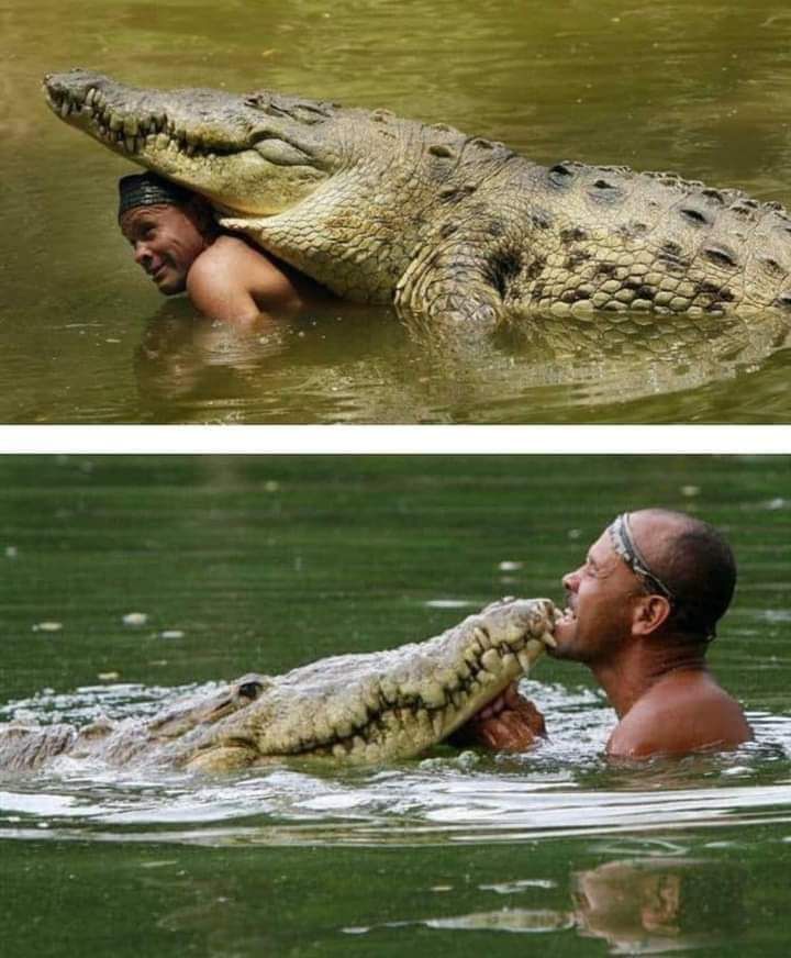 Humanity at its best-helping creatures 🫂