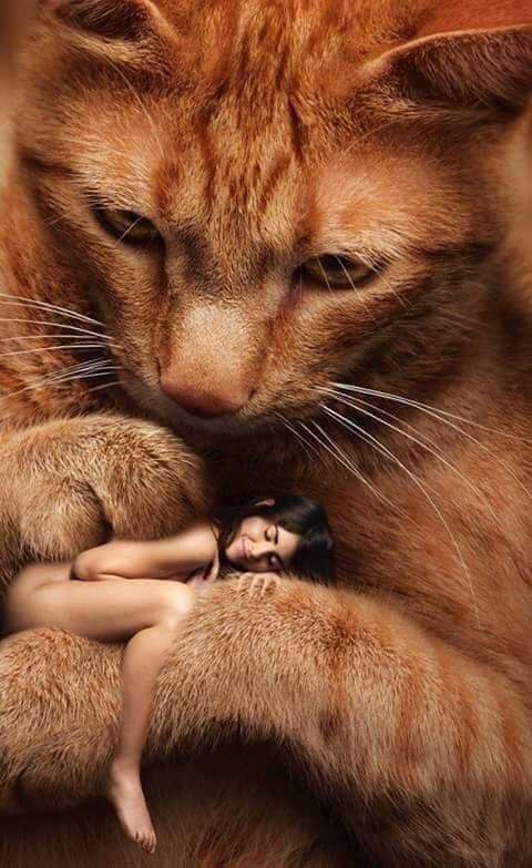 Story Teller ~