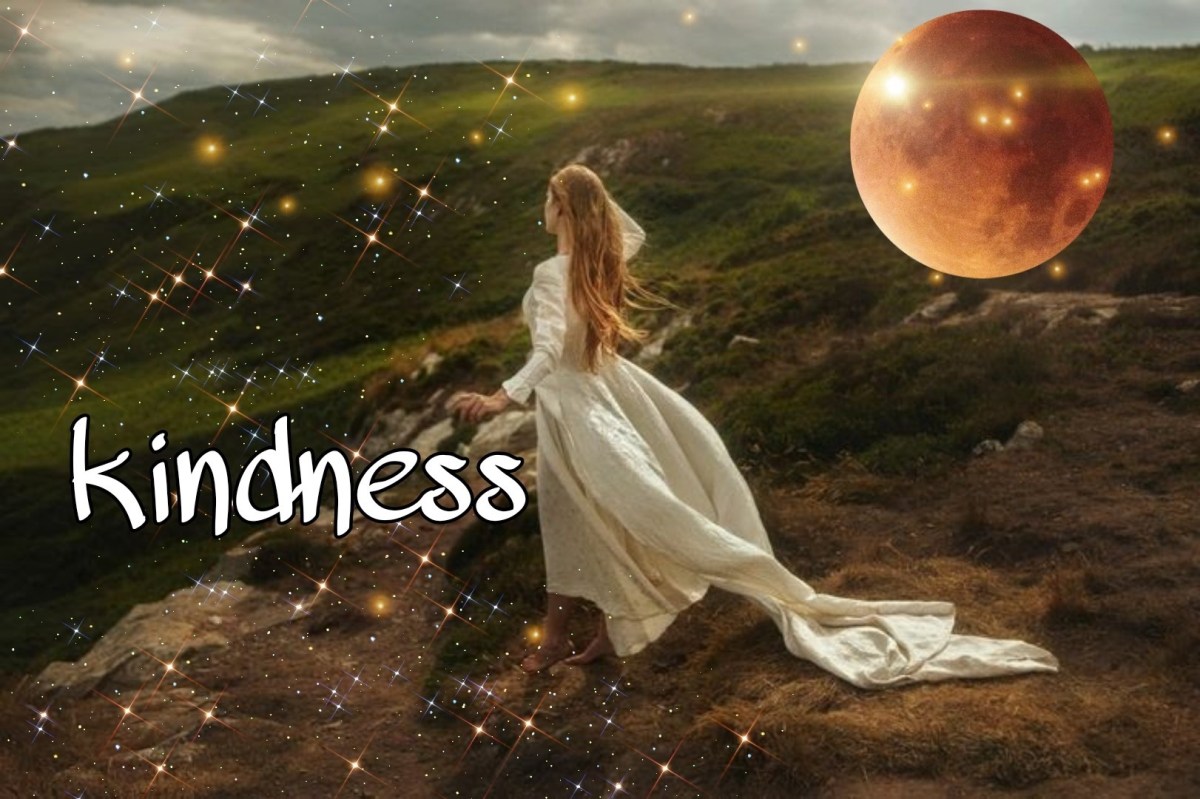 KINDNESS 🌻