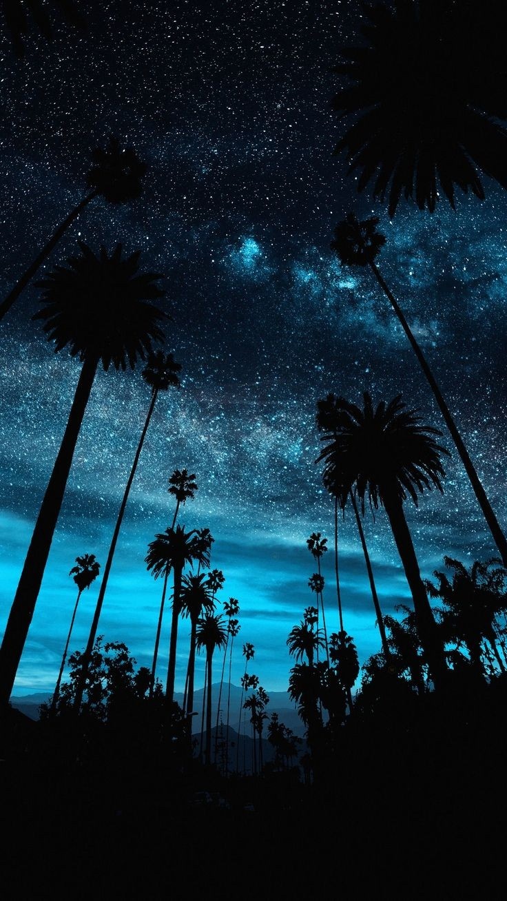 HOUSE POET ~ CYCLONES FURY 🌿🌴🌿☘️🍃