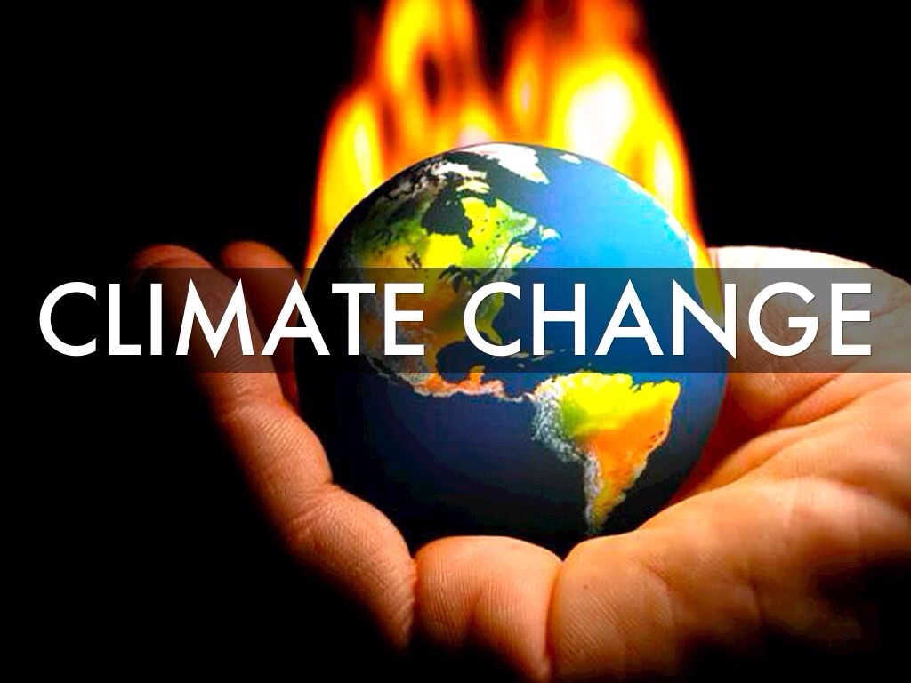 Australia NSW Climate Change Study Eastern Blue Gropers are in Decline and Heading South