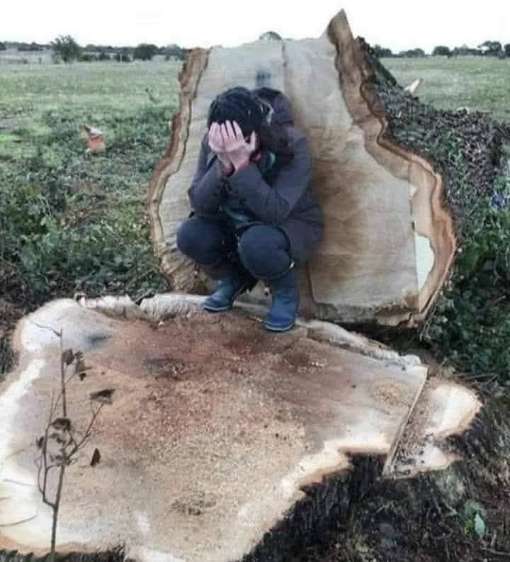 This act reflects a broader pattern of anthropocentrism, which is characterised by the exploitation of natural resources.