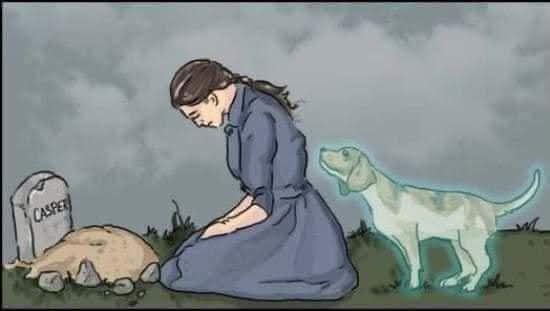 KINDNESS&nbsp; &&nbsp; WISDOM&nbsp;